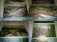 Beartooth mountains razglednice ne koriscene slika 2