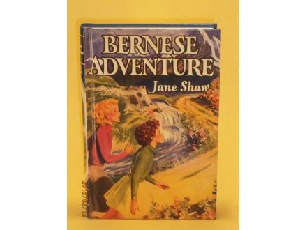 Bernese Adventure, Jane Shaw