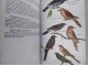 Birds of Nepal with reference to Kashmir and Sikkim slika 2