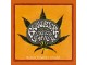 Black Power Flower, Brant Bjork And The Low Desert Punk Band, CD slika 1