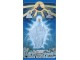 Bogorodica `Vaskrsavajuce Pravoslavlje` slika 1