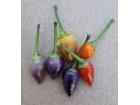 Bolivian Rainbow - Chili pepper 20 semenki