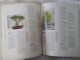 Bonsai a care manual Colin Lewis sve o bonsai drveću slika 3