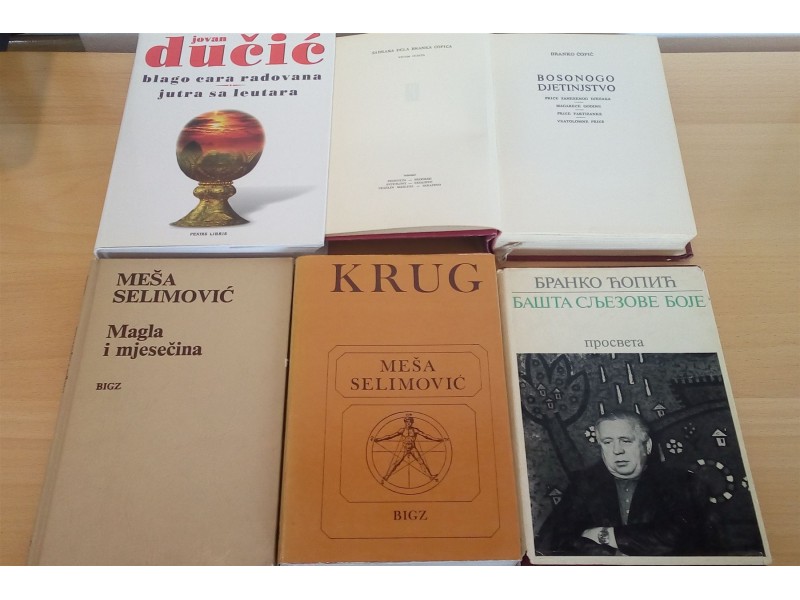 Bosanski klasici – 9 knjiga
