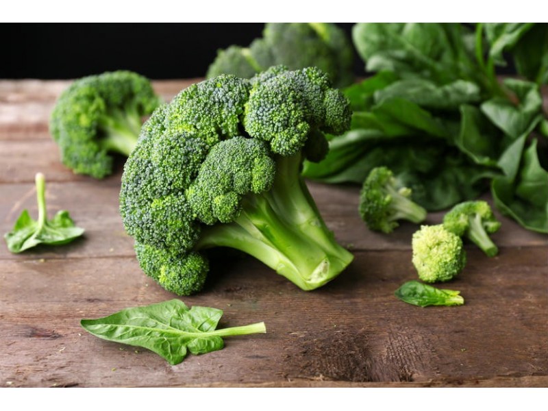 Brokoli Korvet (Brassica oleracea var. italica)