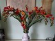 Buket vestackog cvece - Anemone slika 1