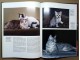 CATS: A PORTRAIT OF THE ANIMAL WORLD - Marcus Schneck slika 2