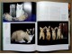 CATS: A PORTRAIT OF THE ANIMAL WORLD - Marcus Schneck slika 3