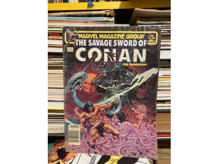 CONAN THE BARBARIAN - the svage sword of - 96