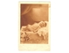 Cb cestitka za rodjenje djeteta,1938,putovala. slika 1