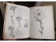 Classic Garden Plants - Ogromna knjiga tvrd povez slika 3