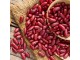 Crveni Meksicki pasulj (seme) slika 1