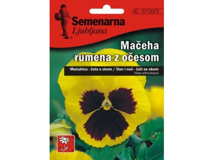Cveće Dan i noć - žuti sa okom - Viola wittrockiana 5720/3