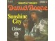 DANIEL BOONE - Sunshine City slika 1