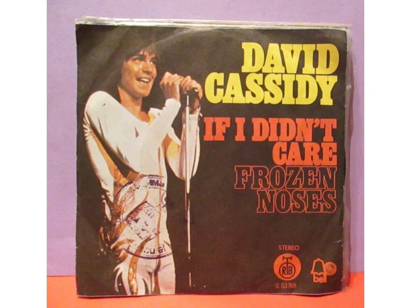 DAVID CASSIDY - If I Didn`t Care