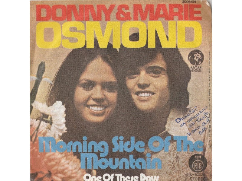 DONNY &; MARIE OSMOND - Morning Side Of The Mountain