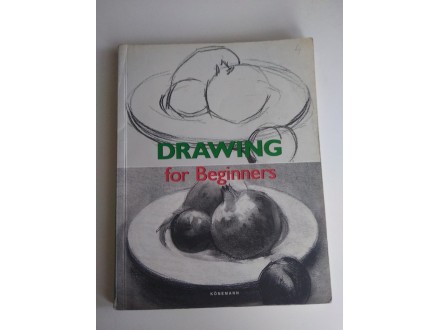 DRAWING for Beginners -  Francisco Asensio Cerver