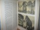 Das buch von den Mammuten/J. Augusta,Z. Burian slika 3