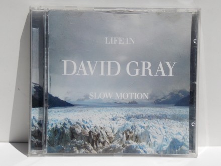 David Gray - Life In Slow Motion