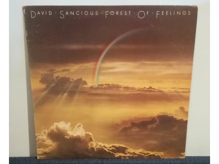 David Sancious ‎– Forest Of Feelings