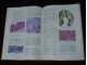 Dijagnostika i Lečenje Oboljenja Cerviksa, Vagine i Vul slika 4