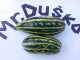 Dinja Aple (Jabuka dinja) 30 semena slika 1