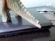 Dinosaurus veliki gumeni-OSTECEN slika 2