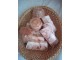 Domaci piling Slani sapun - celulit, bubuljice