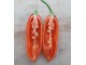 Dorset Naga - Chili pepper 20 semenki slika 3