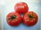 Dunavski rubin paradajz, seme 20 komada slika 1