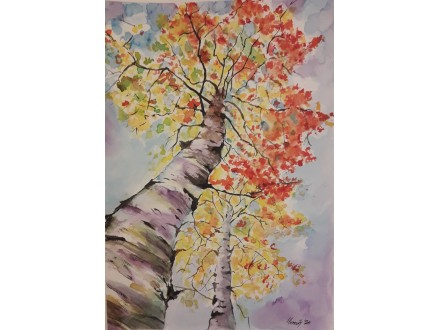 Dve breze, akvarel