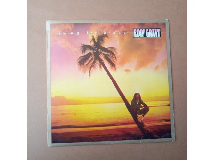 Eddy Grant - Going For Broke (LP, YU)