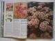 Enciklopedija baštenskog bilja, globus zg slika 2