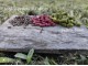 Enigma Amur grass carp feeder  pellets 4mm slika 3