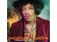 Experience Hendrix - The Best Of Jimi Hendrix, Jimi Hendrix, 2LP slika 1