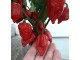 Fatalii (Red) - Chili pepper 20 semenki slika 3