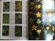 Fleurs et plantes d`Europe, Jean-Denis Godet slika 2