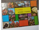 Flora Botanika u slikama album za vadjenje