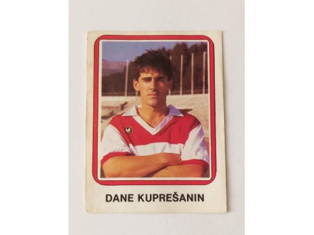 Fudbal 90 / 91 - Broj 312 - Dane Kuprešanin -