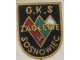 Fudbalski klub G.K.S Zagkebie Sosnowiec slika 1