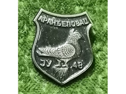 GOLUBARSKA-YU ARANĐELOVAC 48.