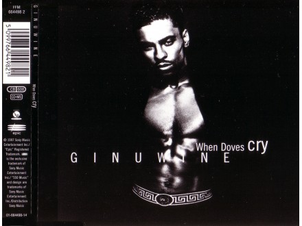 Ginuwine - When Doves Cry