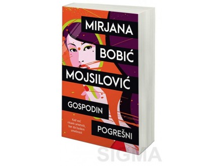 Gospodin pogrešni - Mirjana Bobić Mojsilović
