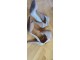 Guess sandale 39 boja kože 12cm novo slika 3