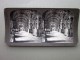 H. C. White Company stereoskop slika1638 slika 1