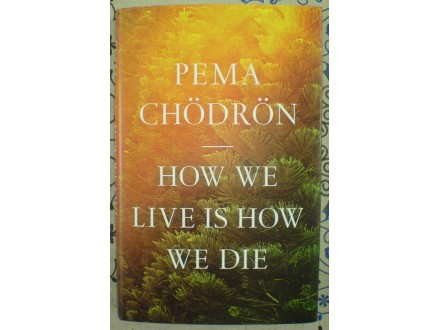 HOW WE LIVE IS HOW WE DIE, Pema Chodron