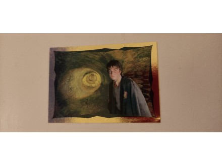 Harry Potter and the chamber of secrets 179