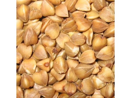 Heljda, 5g (oko 275 semenki)