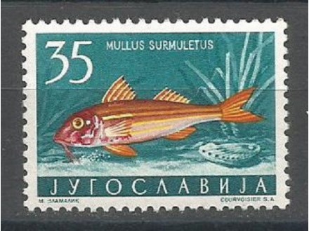 II Fauna 35 din 1956.,čisto