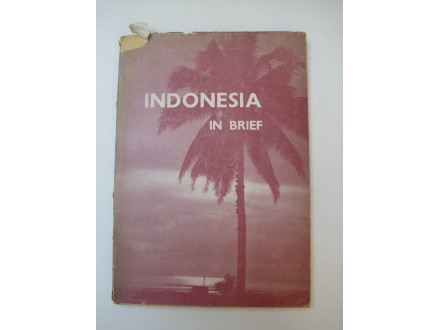 INDONESIA IN BRIEF  (KNJ4)